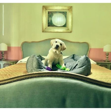 Bridge Hotel バーニ・ディ・ルッカ エクステリア 写真